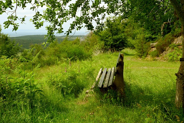 量等手段 量等手段