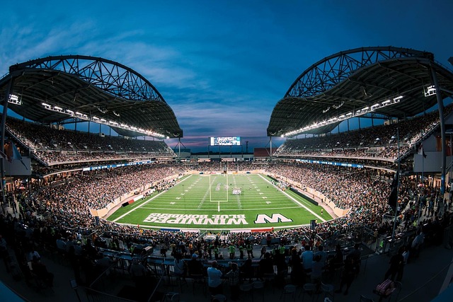 当前的金球 当前的金球