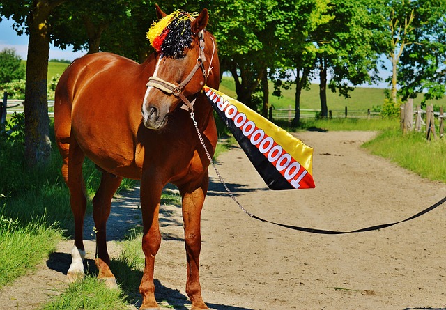 的球场洞察 的球场洞察