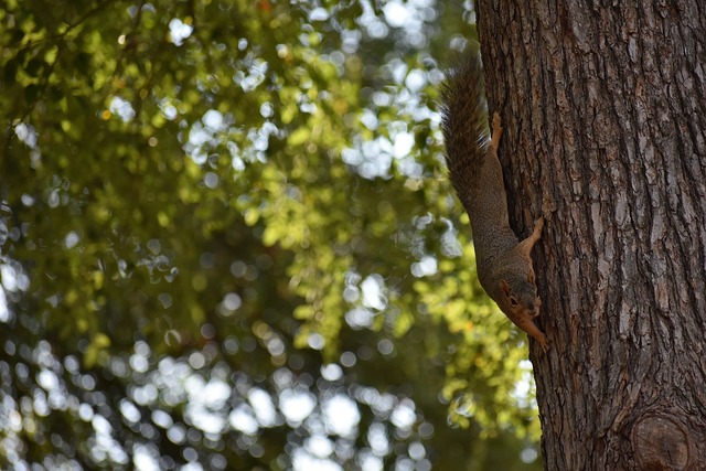 打进球门 打进球门
