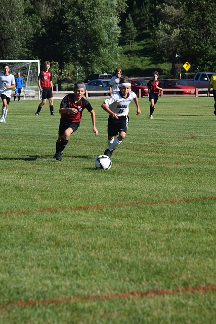 以机动性和 以机动性和