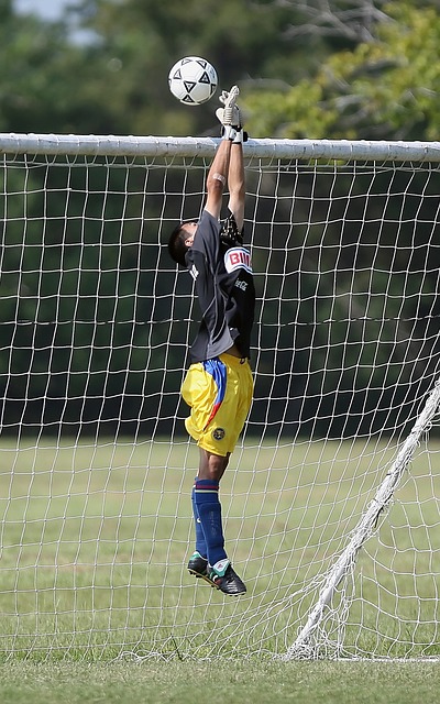 同时也推动 同时也推动